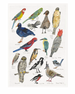 Melbourne Tea Towel