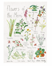 Melbourne Tea Towel