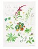 Melbourne Tea Towel
