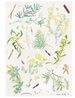Melbourne Tea Towel