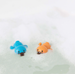 Bath Racers - Platypuses