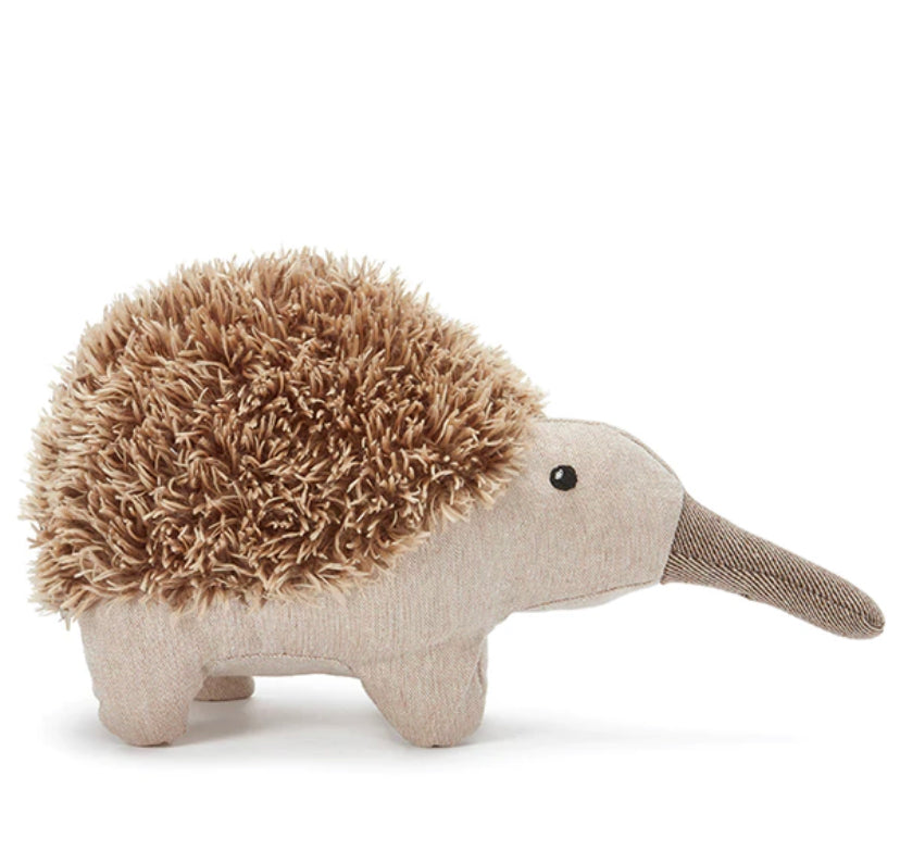 Spike the Echidna