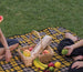 McFadyen Picnic Rug