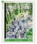 New Yorker Puzzle