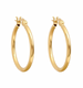 Foundation Hoop Earrings