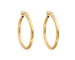 Foundation Hoop Earrings