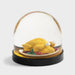 Wonderball
