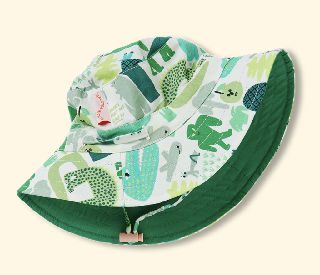 Things That Are Green Sun Days Hat