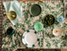 Napkin Set - Florence Stripe Green