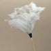 Ostrich White Feather Duster - 70cm